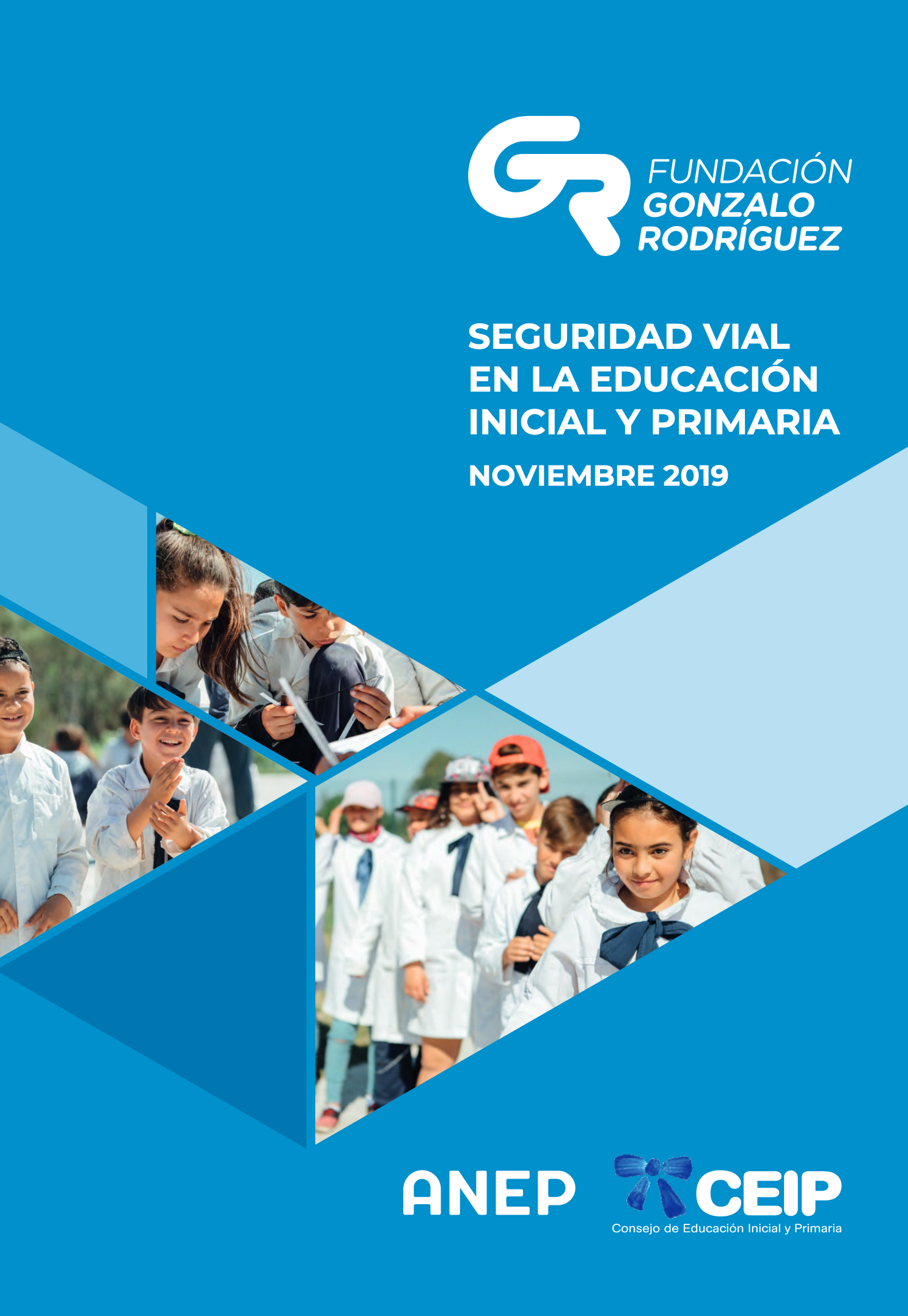 Librillo - Seguridad Vial en la educación inicial y primaria